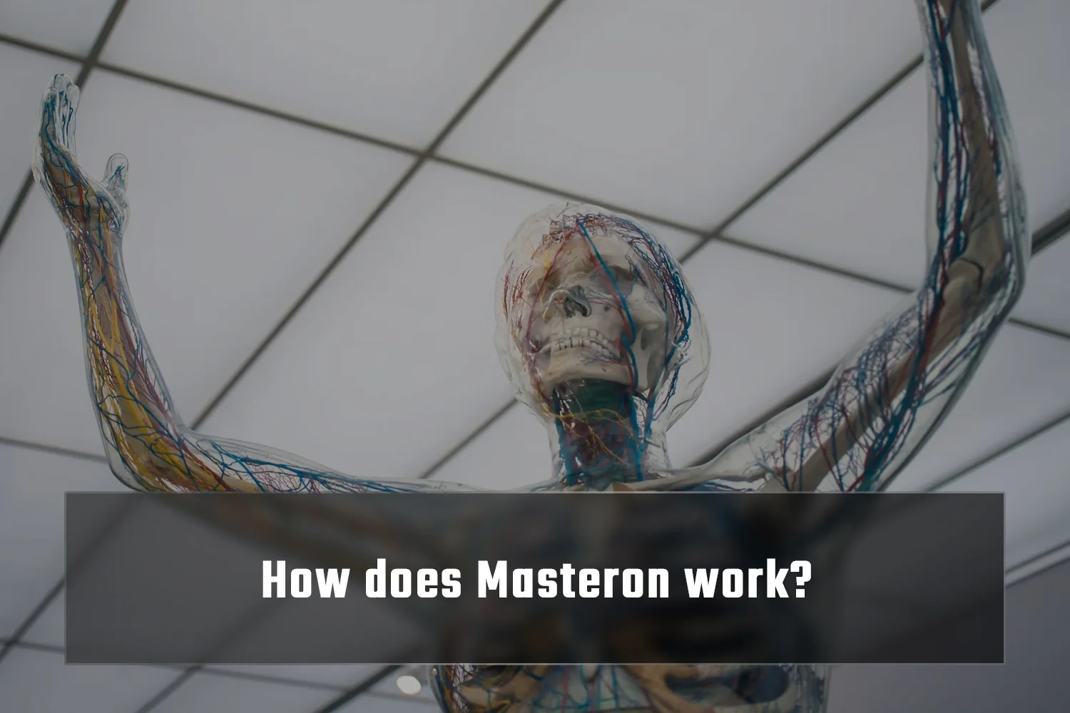 How does Masteron work