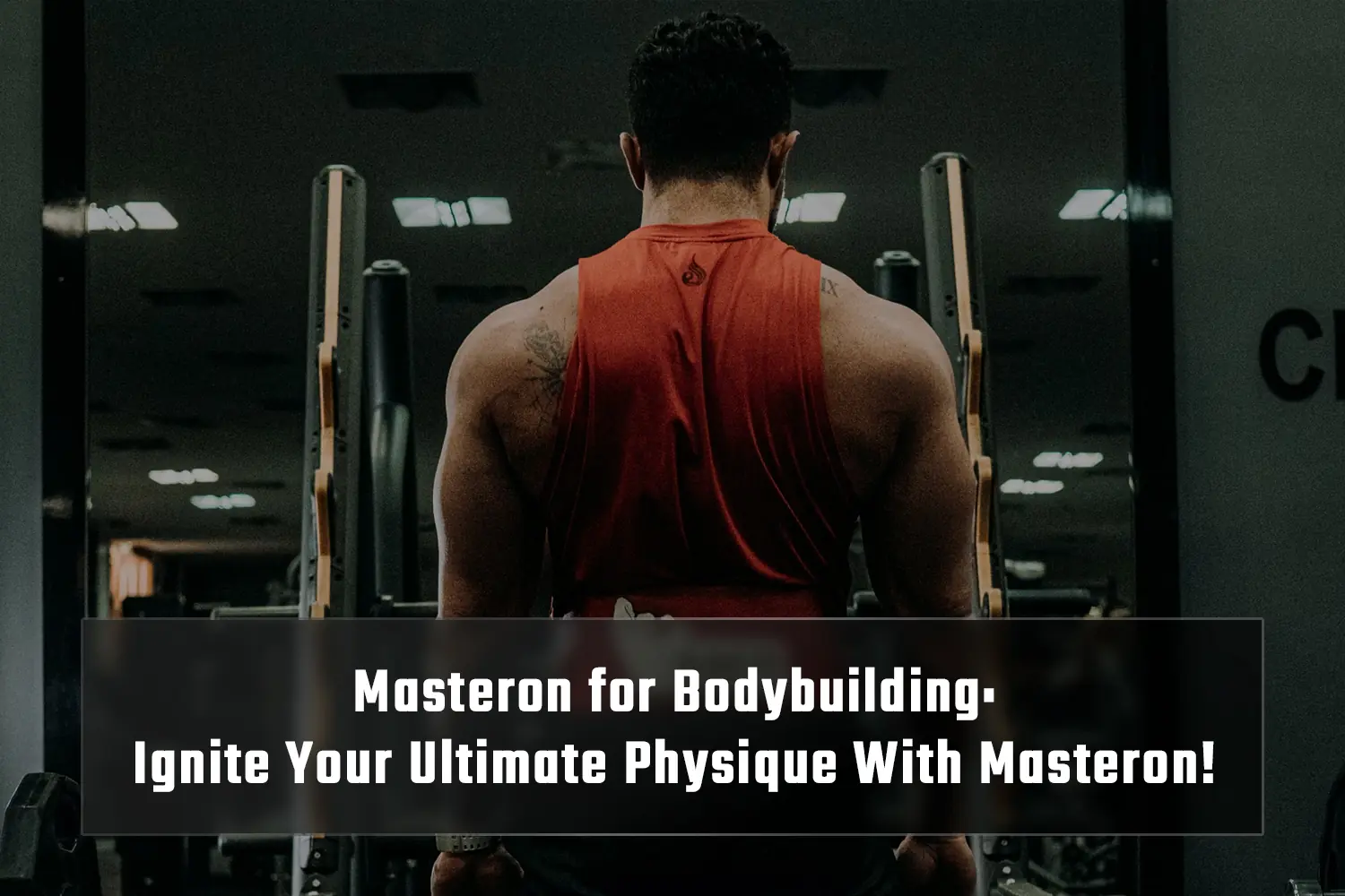 10 Tips That Will Change The Way You Lean Muscle with Testosterone Cypionate